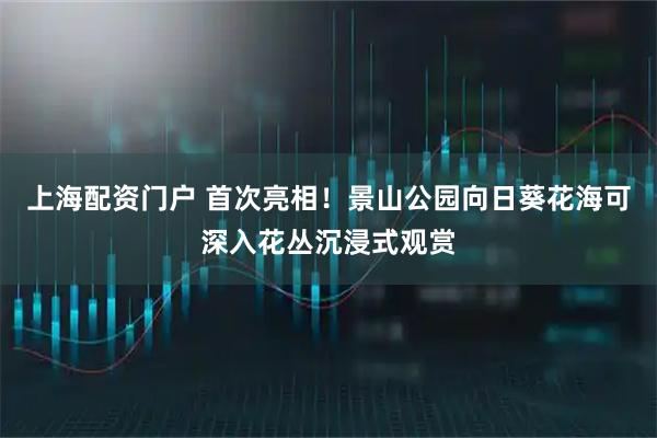 上海配资门户 首次亮相！景山公园向日葵花海可深入花丛沉浸式观赏